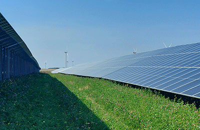 Polish Solar Farm