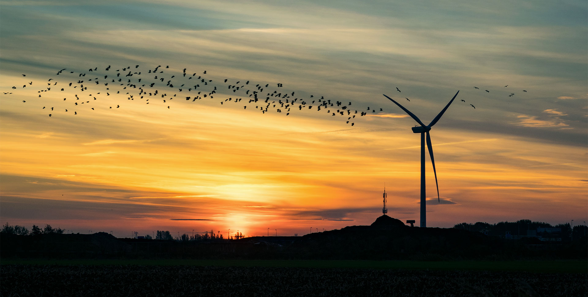 Birds flying past turbine at sunset