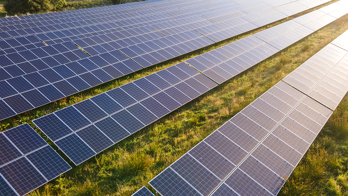 Solar panels in field