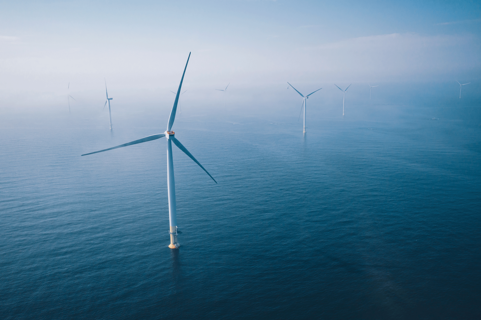 Codling Wind Farm Visualisation Codling Wind Farm Visualisation