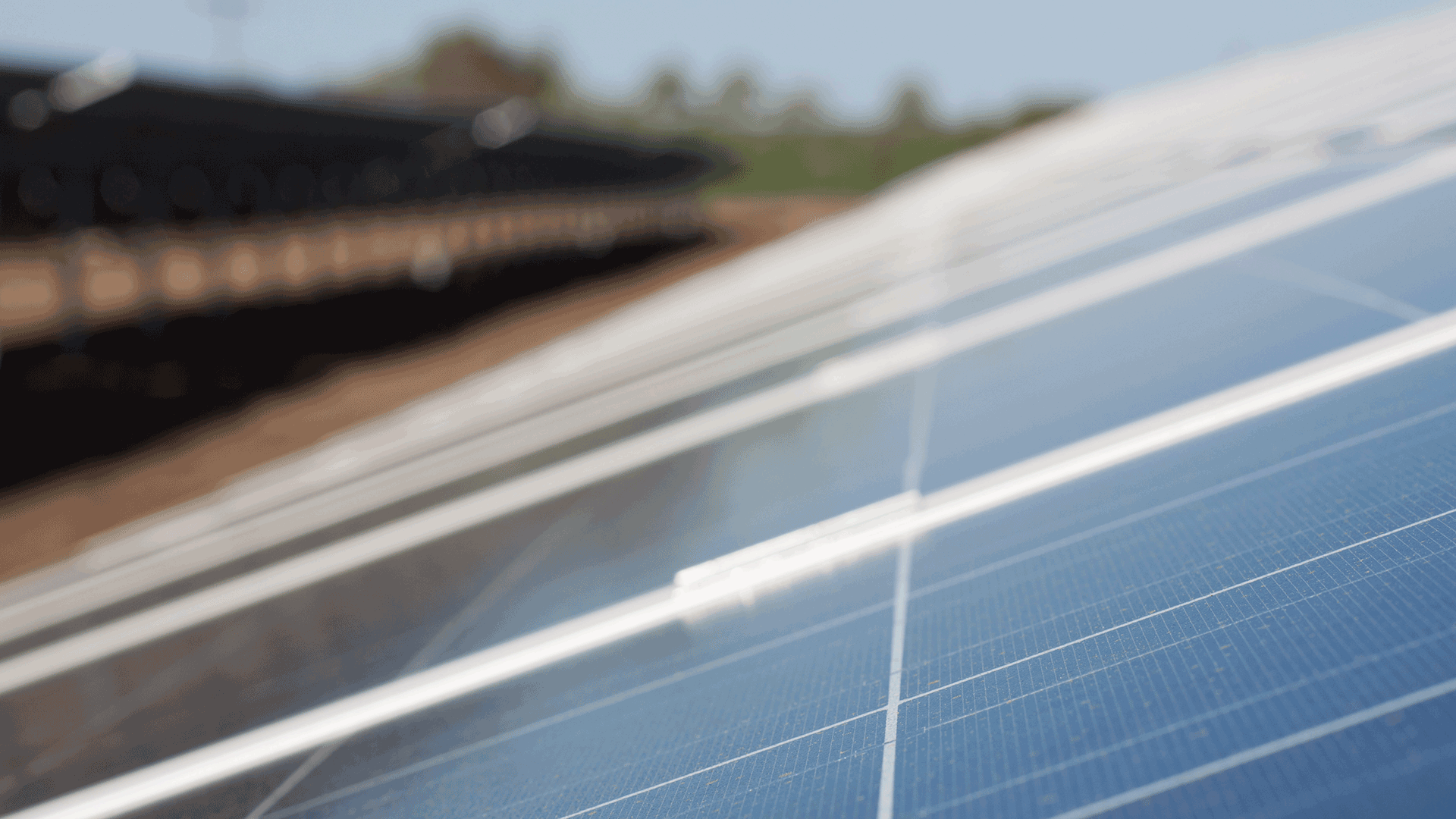 Solar cells close up