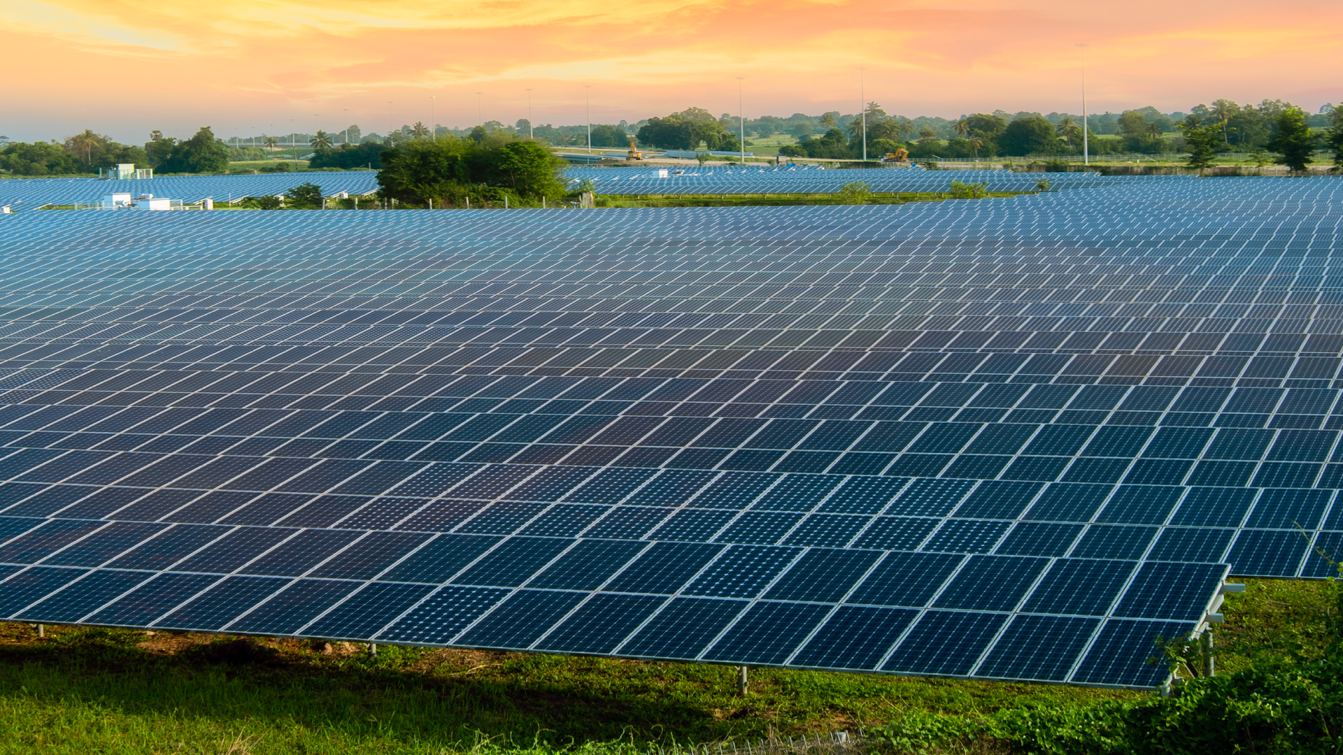 Solar farm development