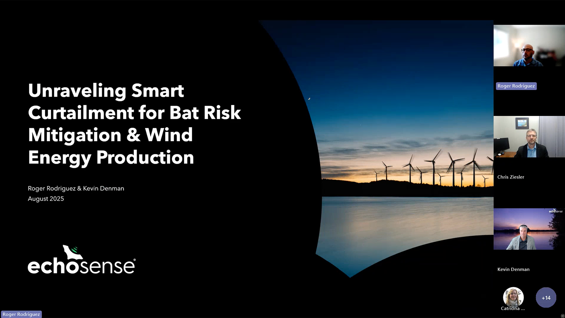 Smart curtailment webinar