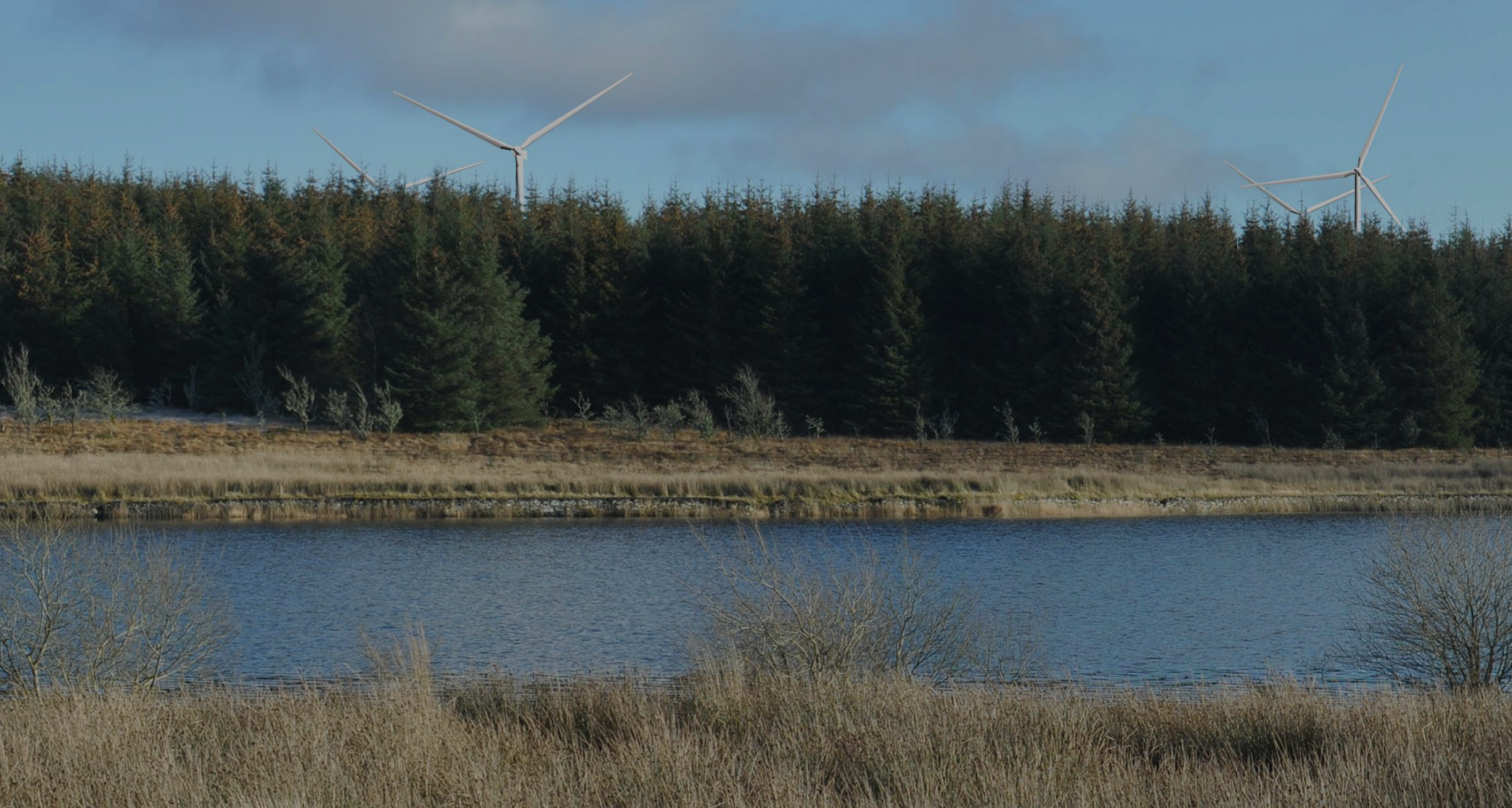 Alwen Forest Wind Farm