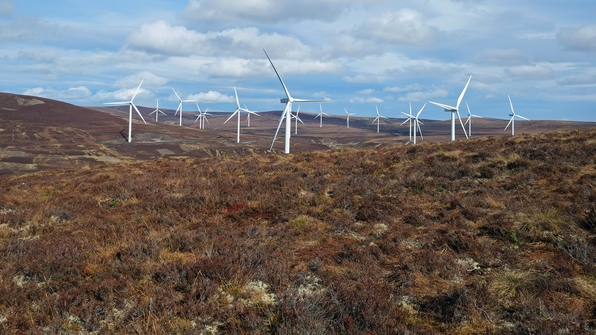 Scottish wind farm