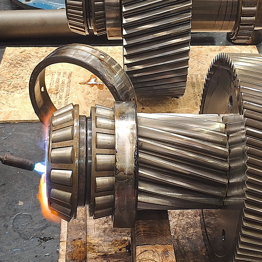 Turbine gearbox bearings