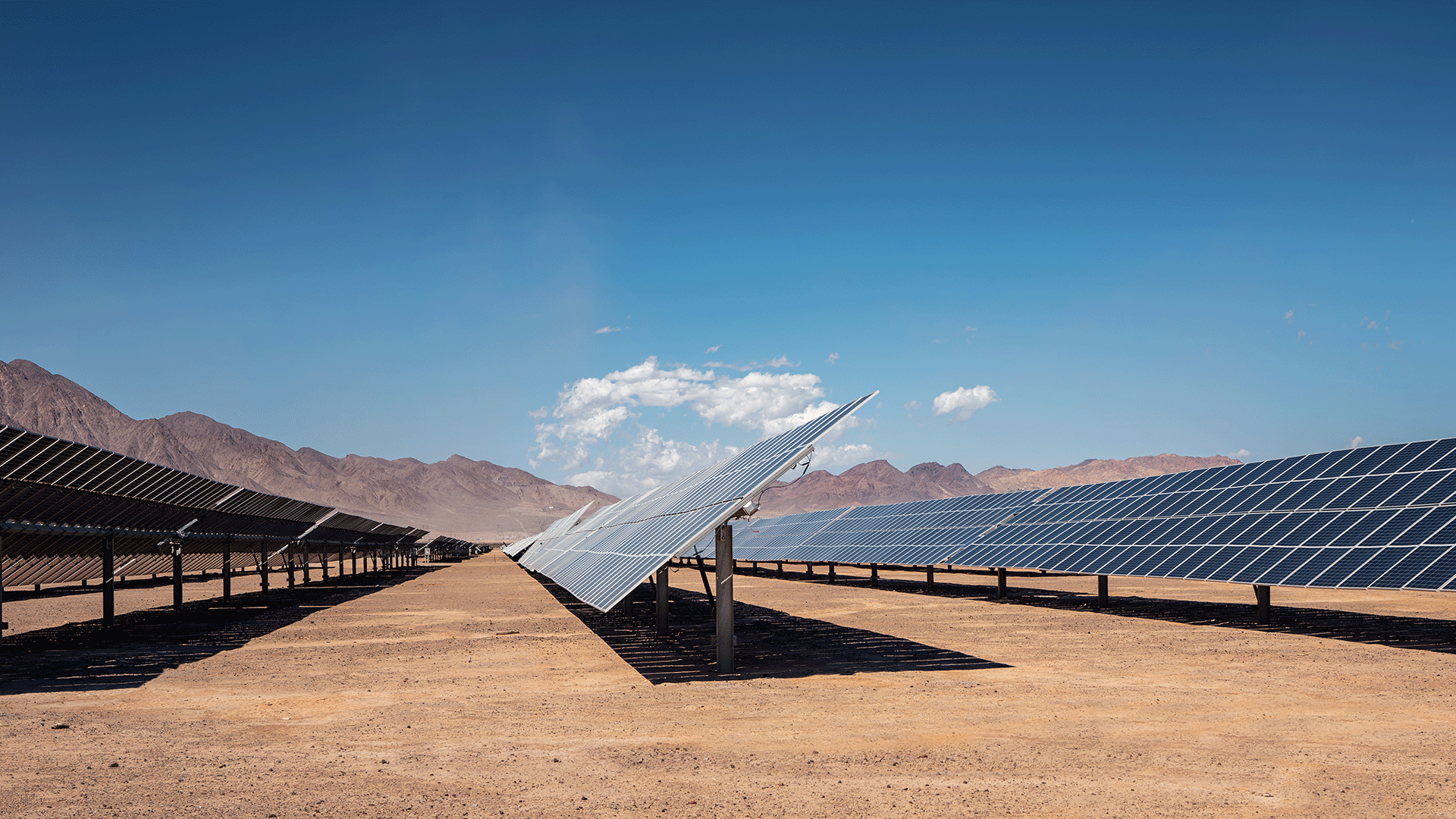 Rows of solar PV modules