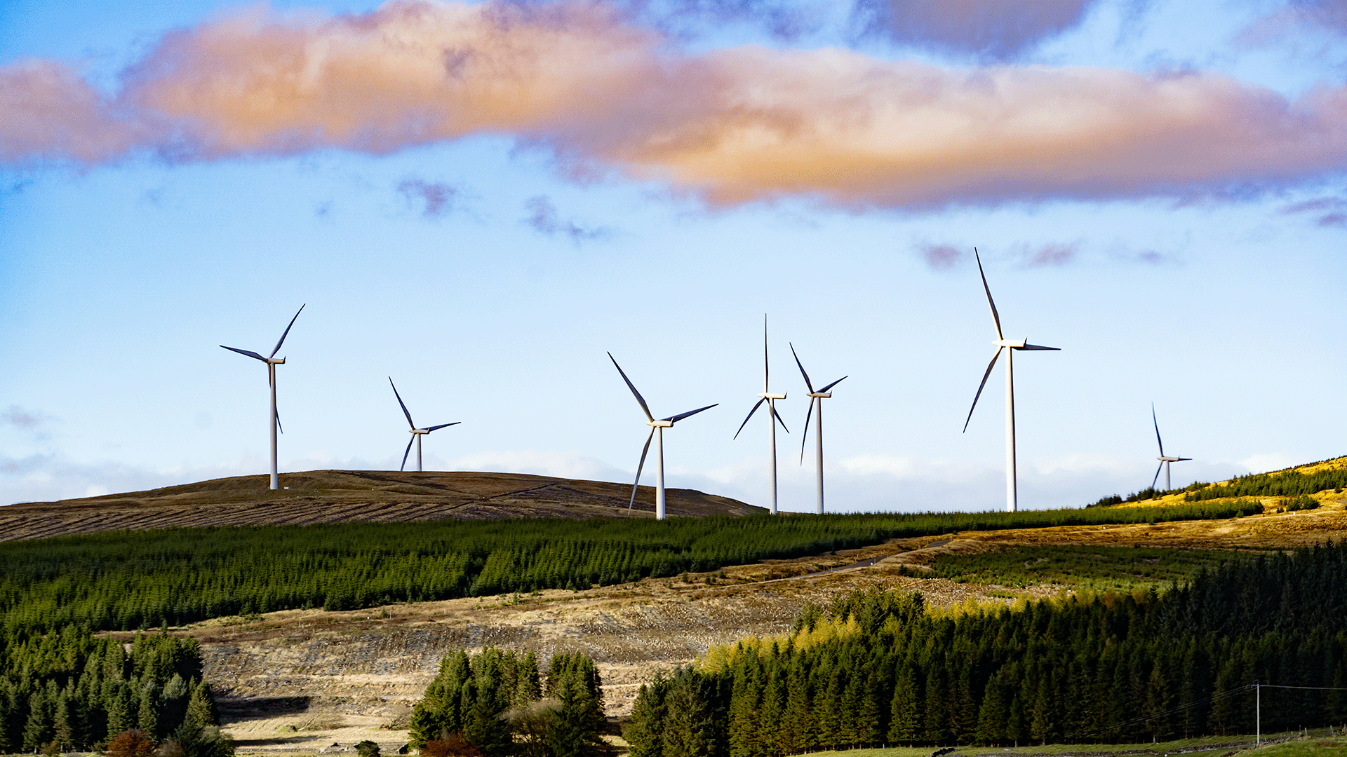 Scottish wind farm