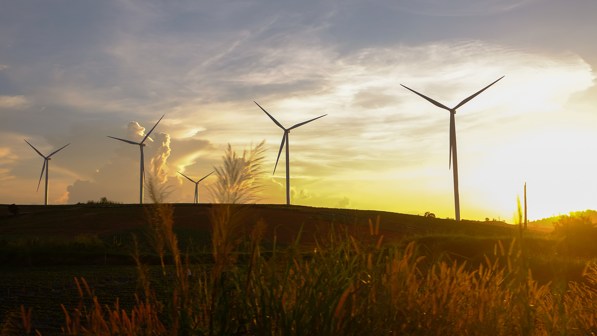 Wind park at sunset