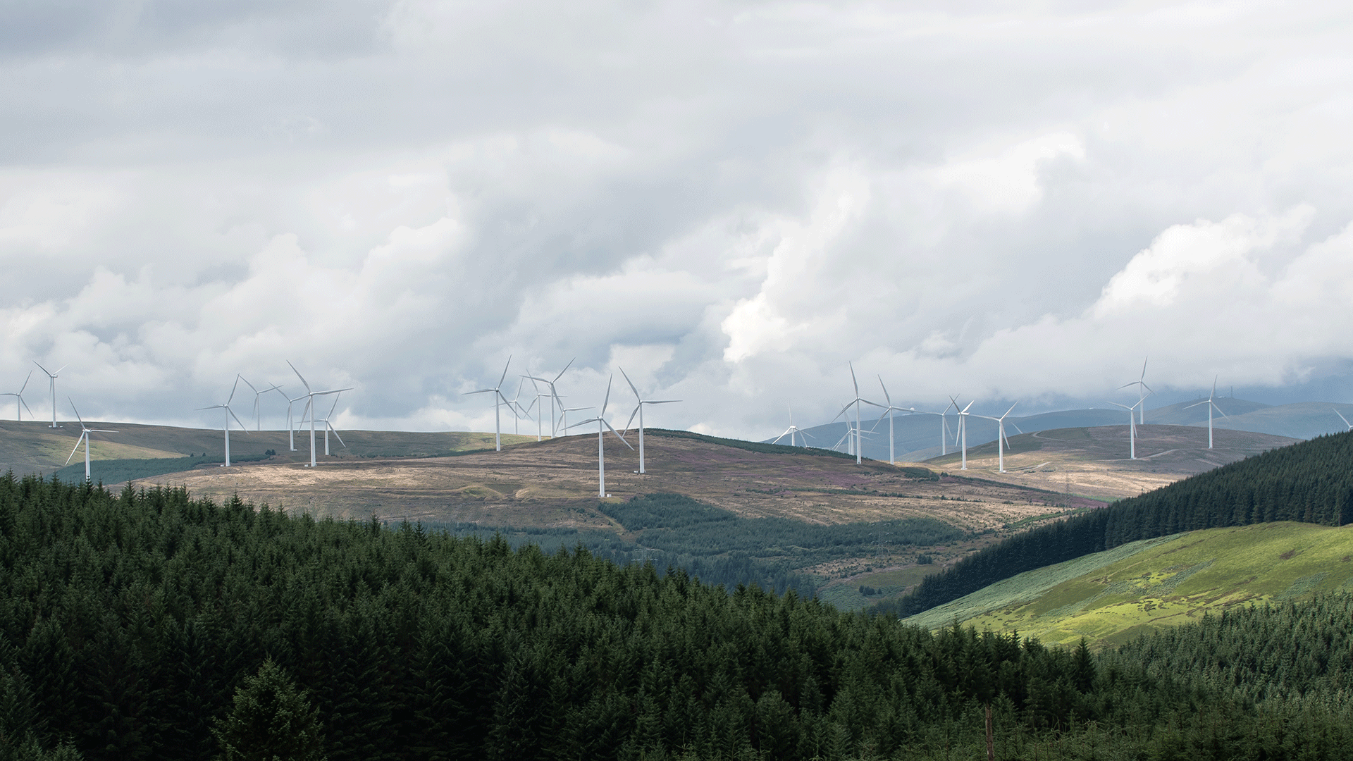 Wind farm in the lowlands of Scotland