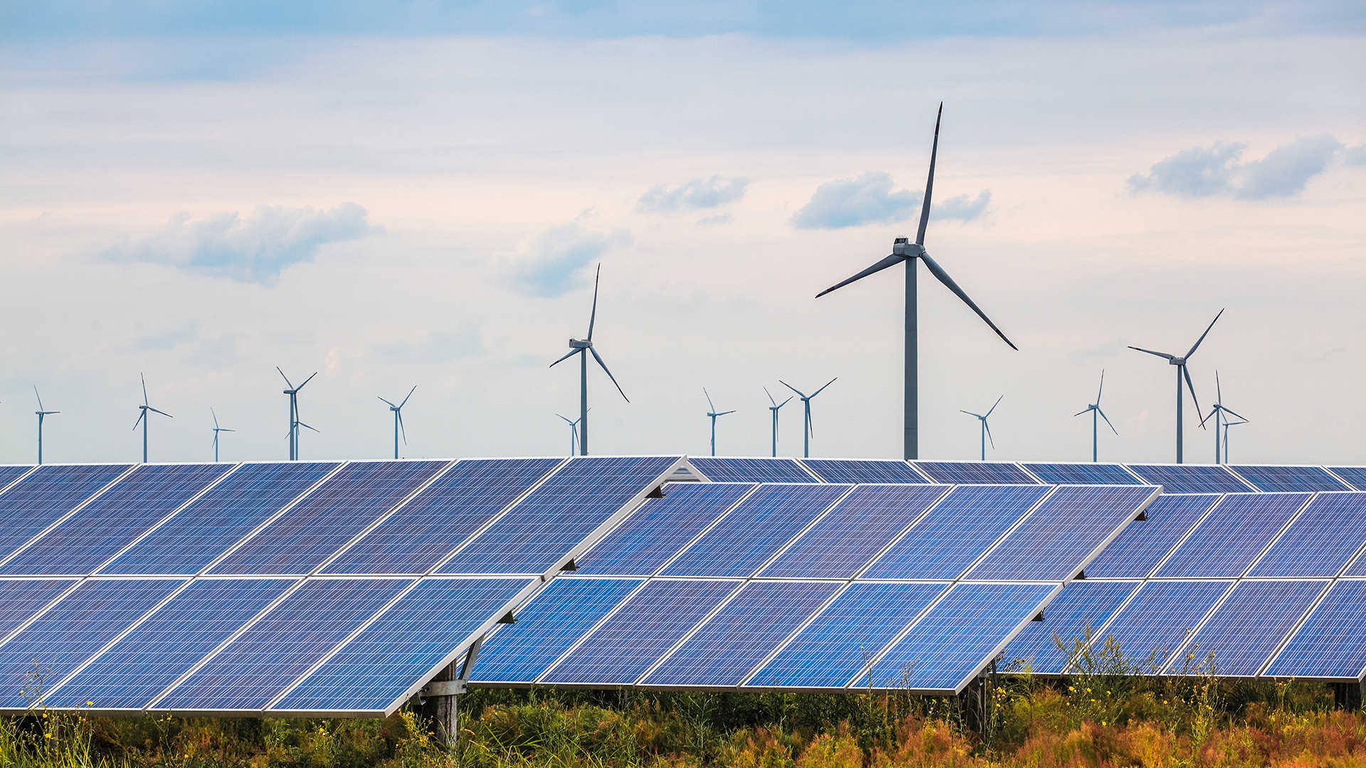 Solar and wind farm